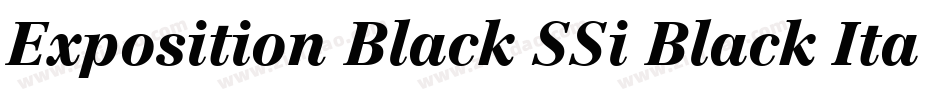 Exposition Black SSi Black Italic字体转换